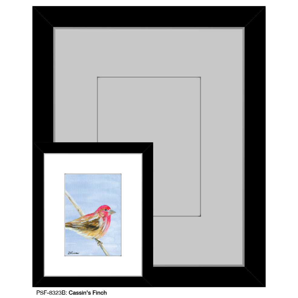 Cassin's Finch Print (#8323)