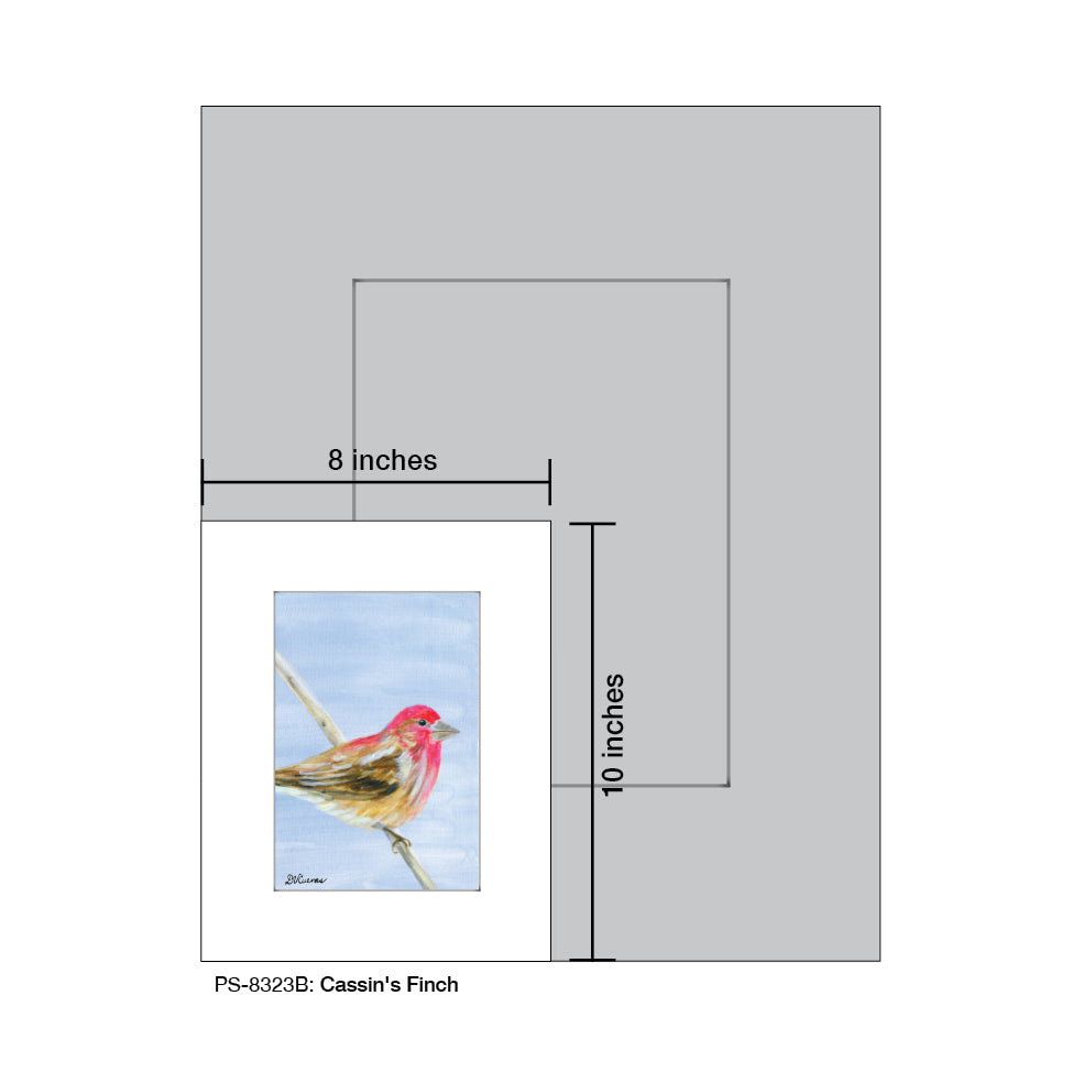 Cassin's Finch Print (#8323)