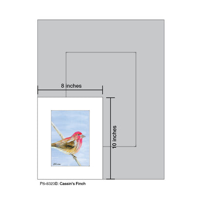 Cassin's Finch Print (#8323)