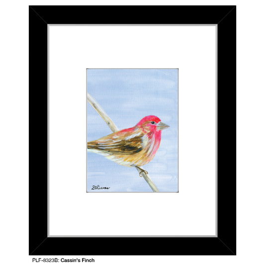 Cassin's Finch Print (#8323)