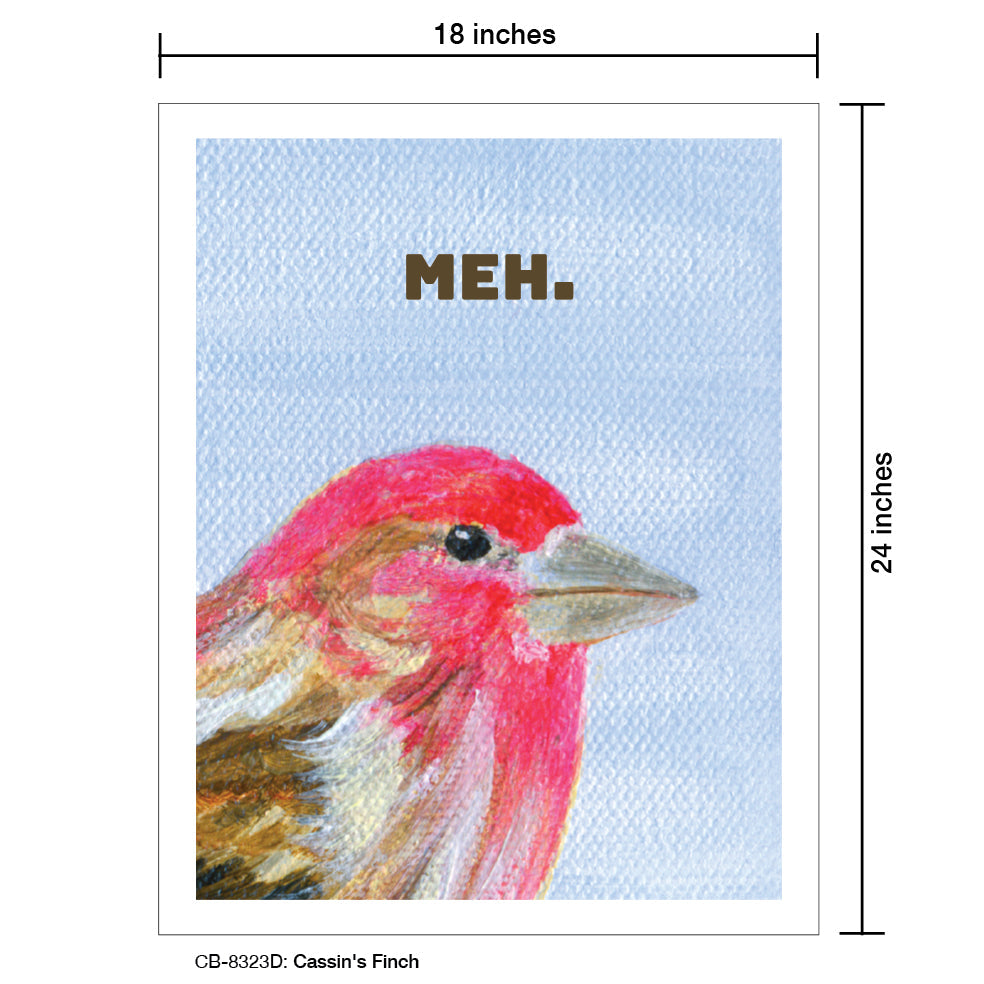 Cassin's Finch, Card Board (8323D)