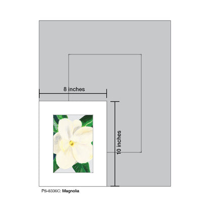 Magnolia, Print (#8336C)