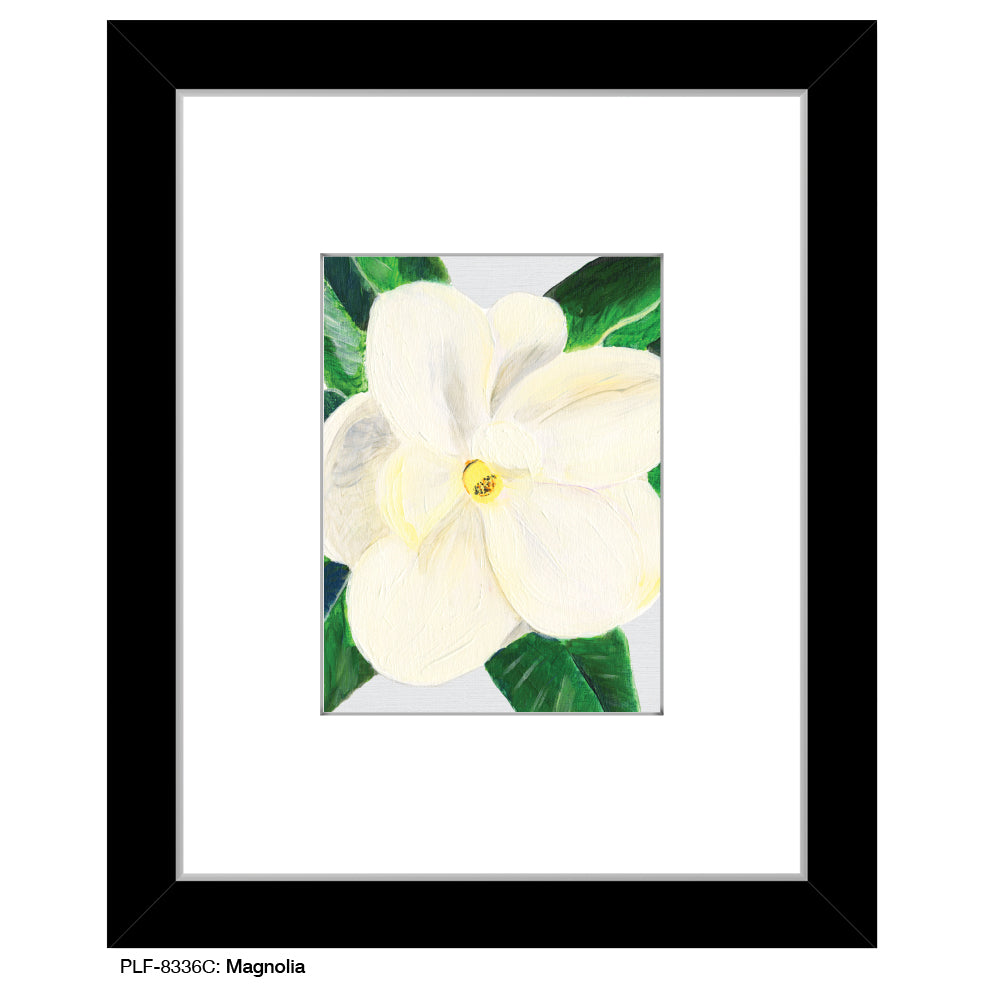 Magnolia, Print (#8336C)