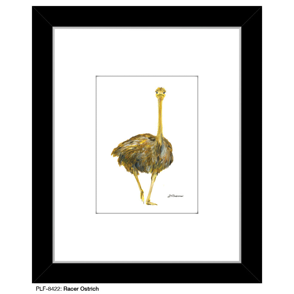 Racer Ostrich, Print (#8422)