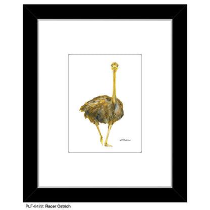 Racer Ostrich, Print (#8422)