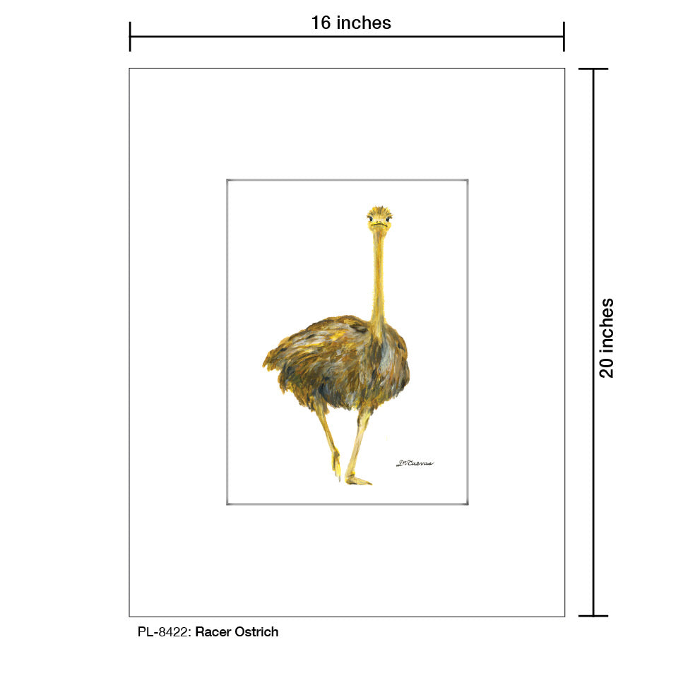 Racer Ostrich, Print (#8422)