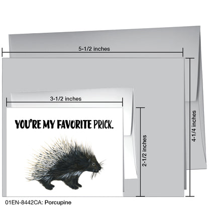 Porcupine, Greeting Card (8442CA)