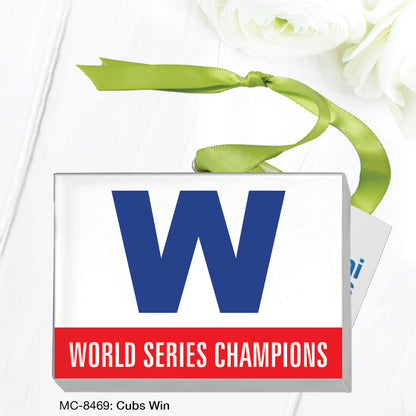 Cubs Win (MC-8469)