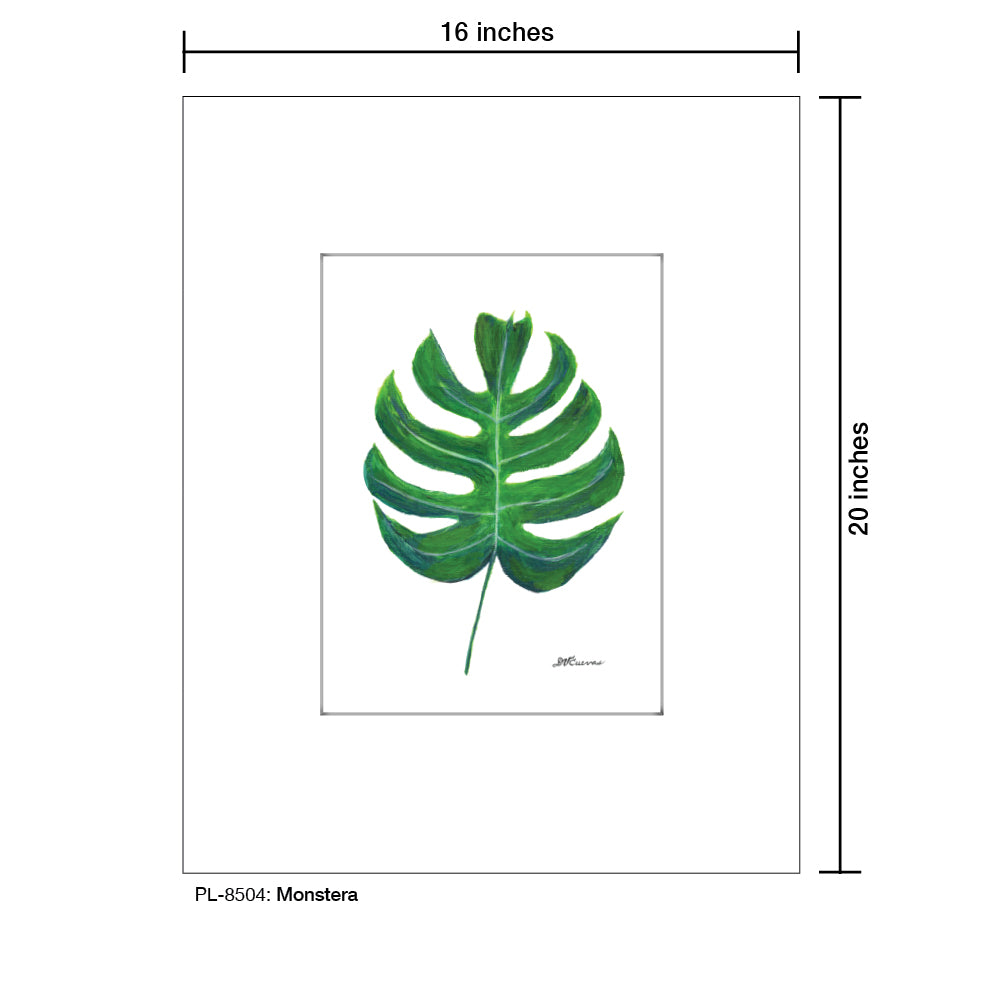 Monstera, Print (#8504)