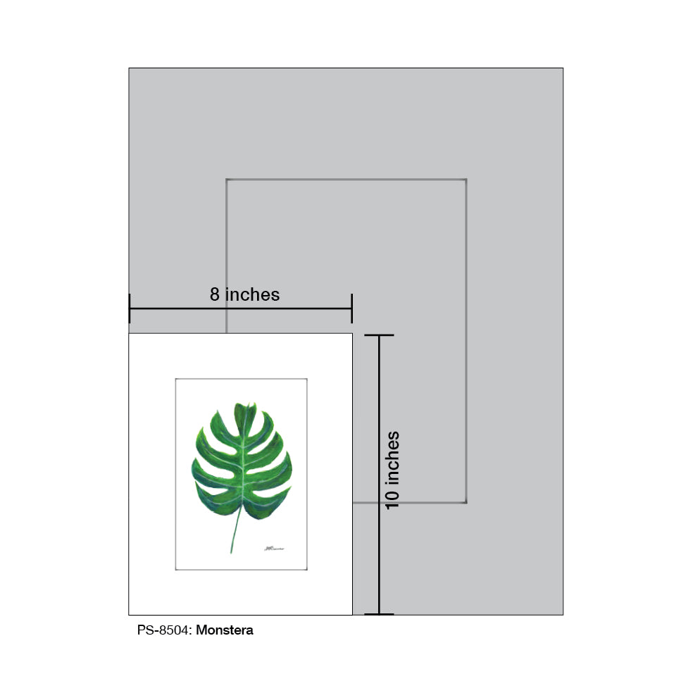 Monstera, Print (#8504)