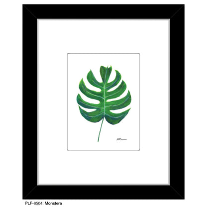 Monstera, Print (#8504)