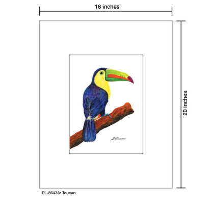 Toucan, Print (#8643A)