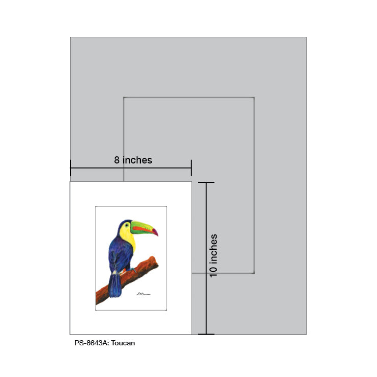 Toucan, Print (#8643A)