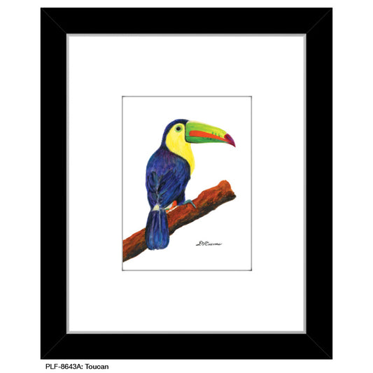 Toucan, Print (#8643A)