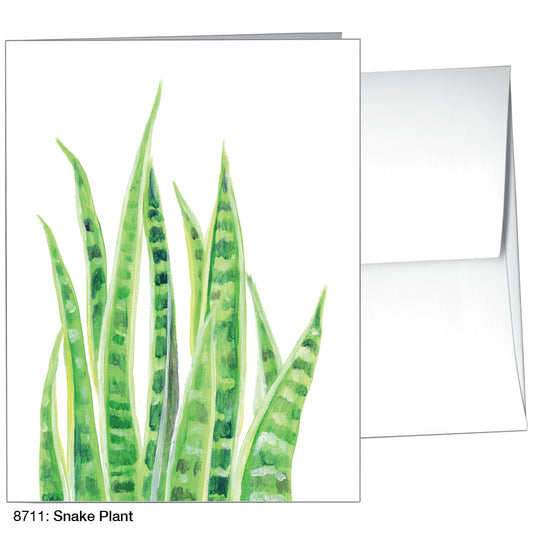 Snake Plant, Greeting Card (8711)