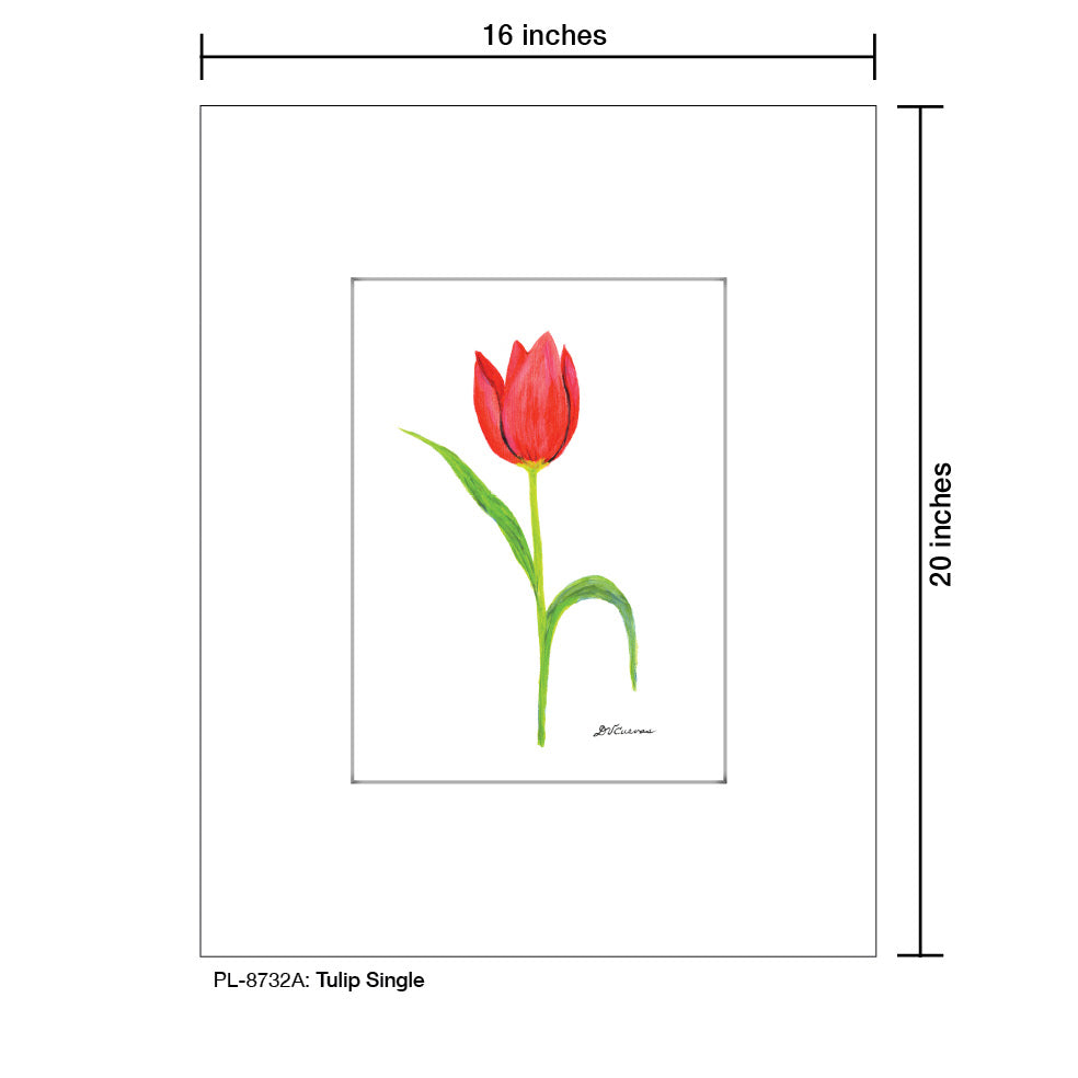 Tulip Single, Print (#8732A)