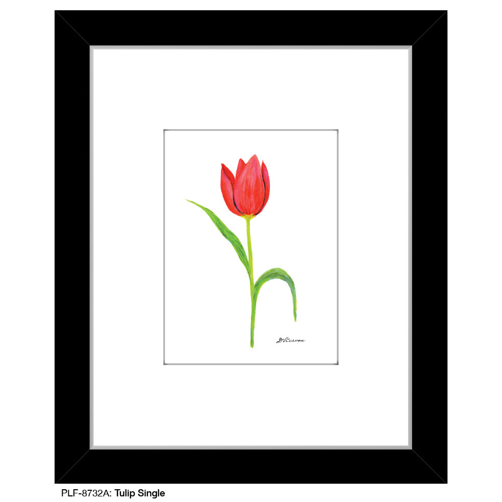 Tulip Single, Print (#8732A)