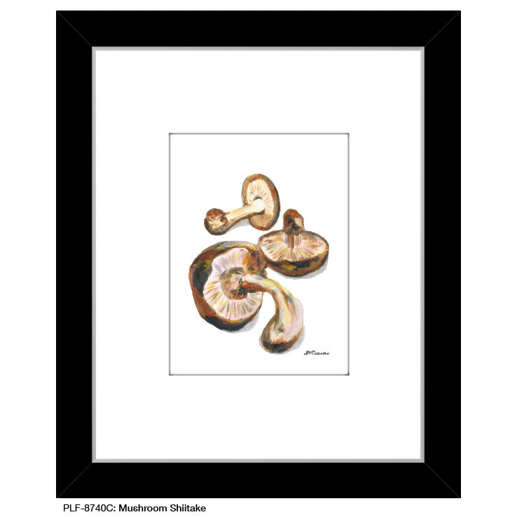 Mushrooms Shiitake , Print (#8740C)