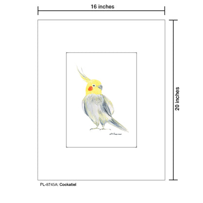 Cockatiel, Print (#8745A)