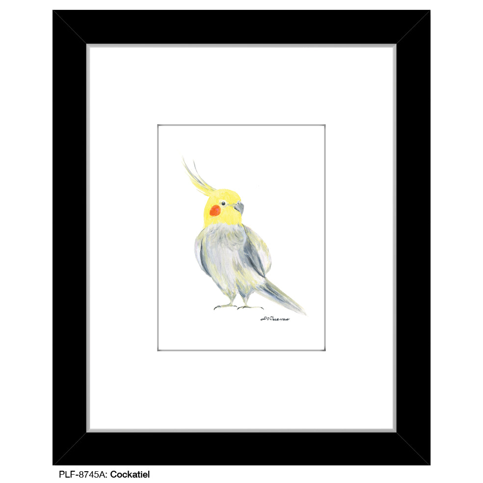 Cockatiel, Print (#8745A)