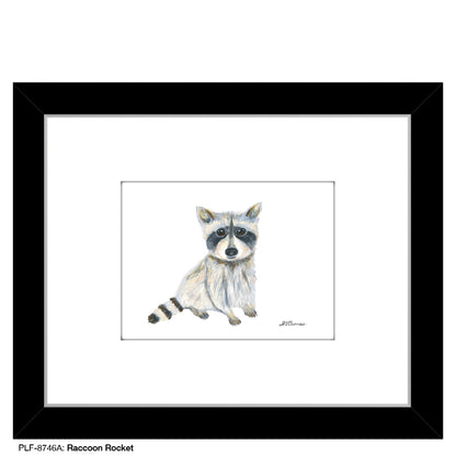 Raccoon Rocket, Print (#8746A)