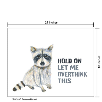 Raccoon Rocket, Card Board (8746F)