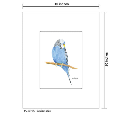 Parakeet Blue, Print (#8779A)