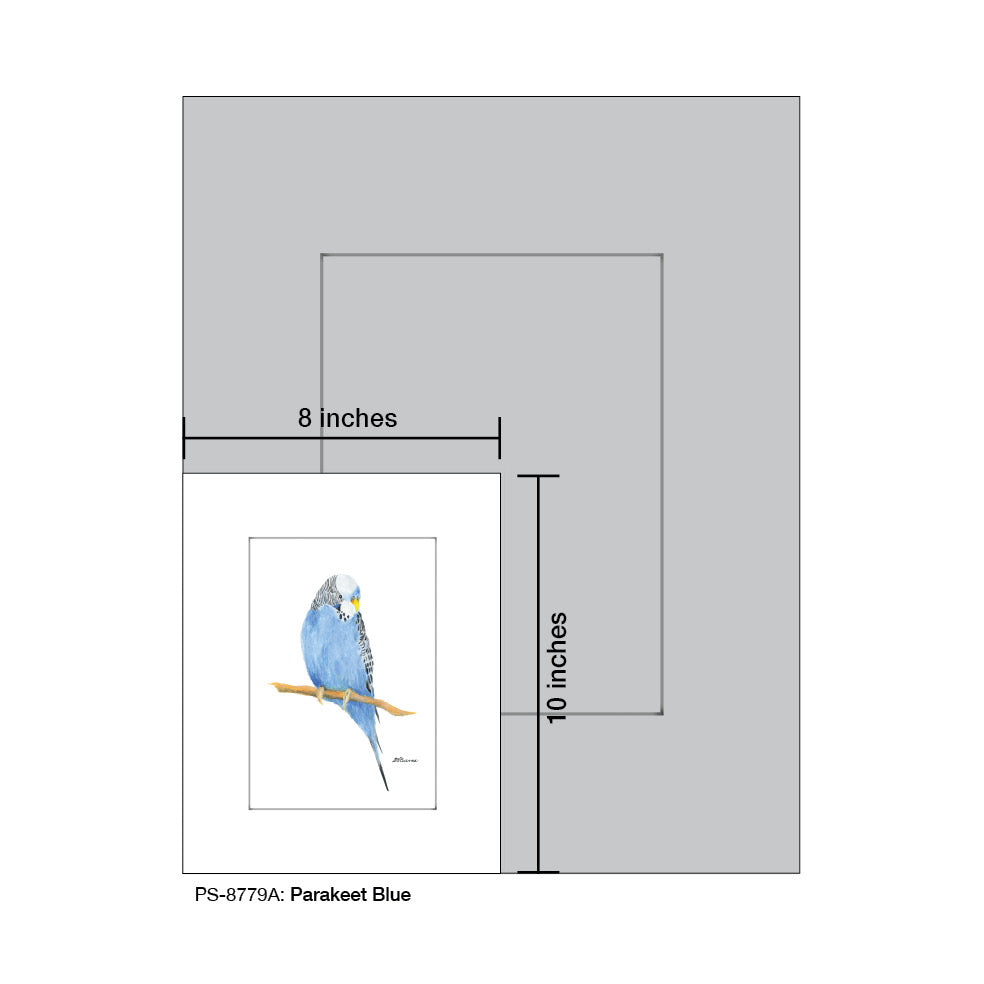 Parakeet Blue, Print (#8779A)