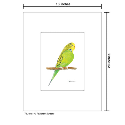 Parakeet Green, Print (#8781A)