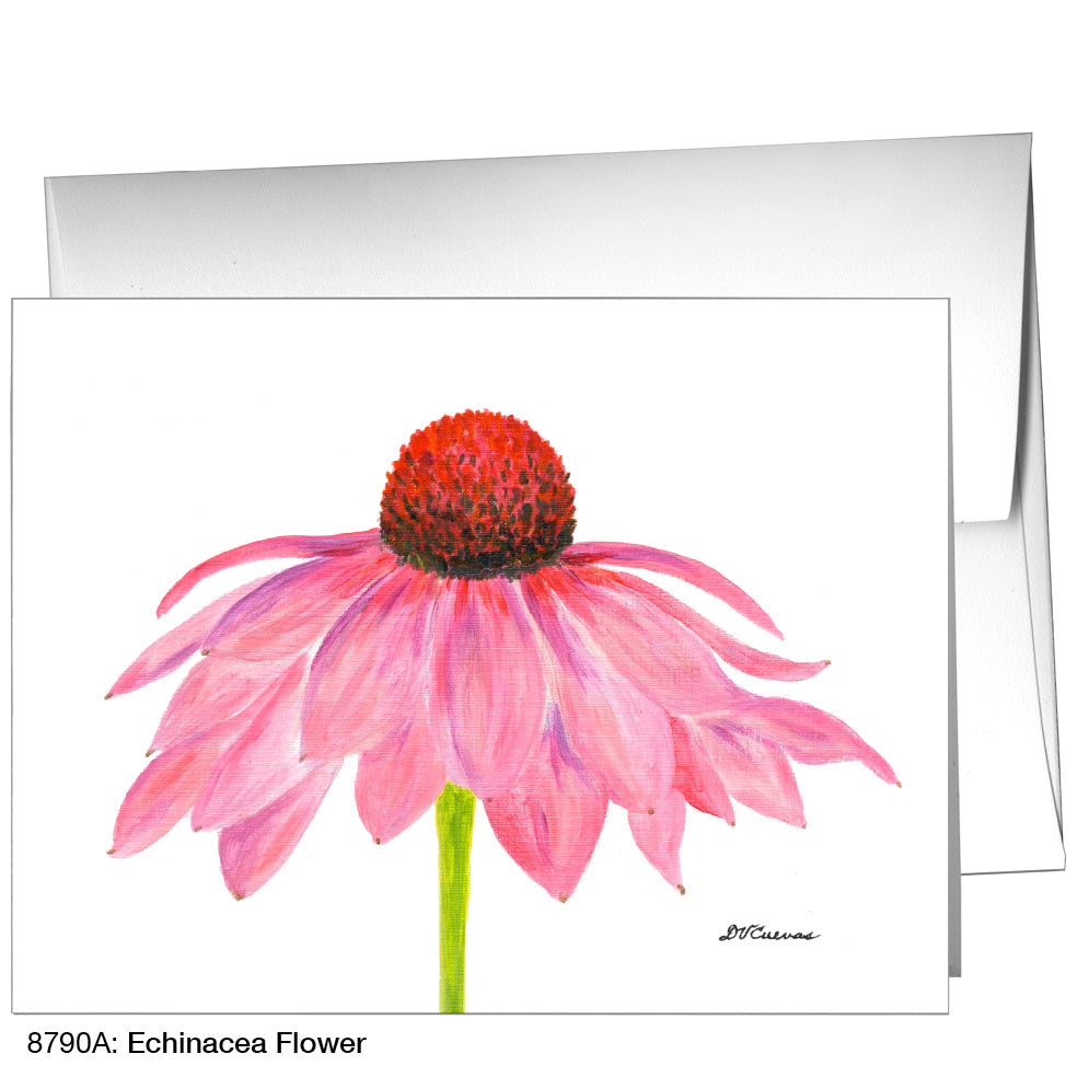 Echinacea Flower, Greeting Card (8790A)