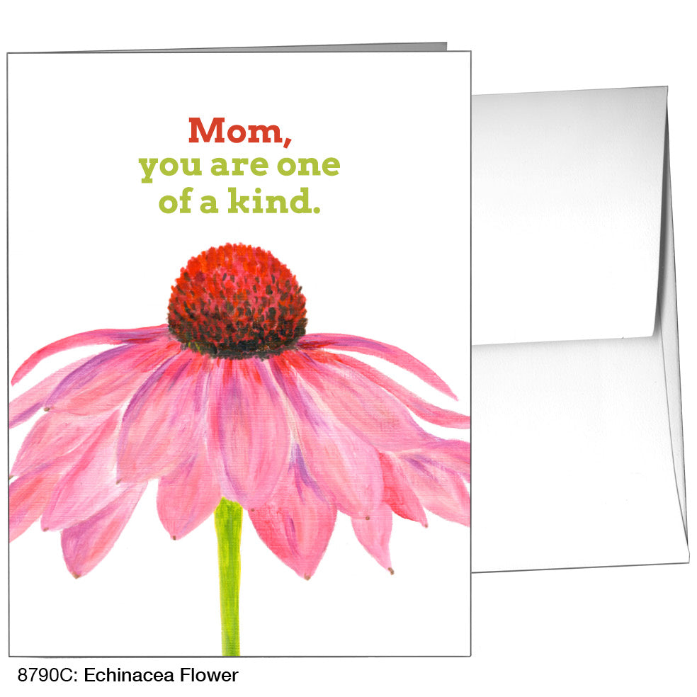 Echinacea Flower, Greeting Card (8790C)