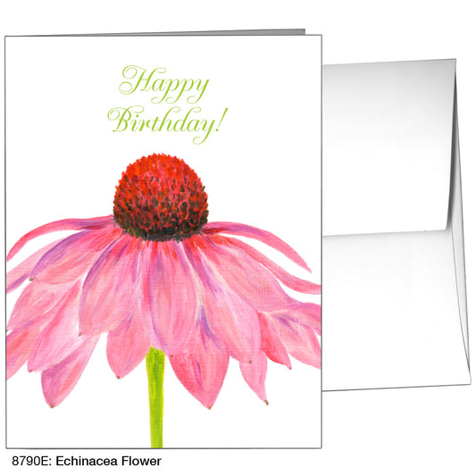 Echinacea Flower, Greeting Card (8790E)