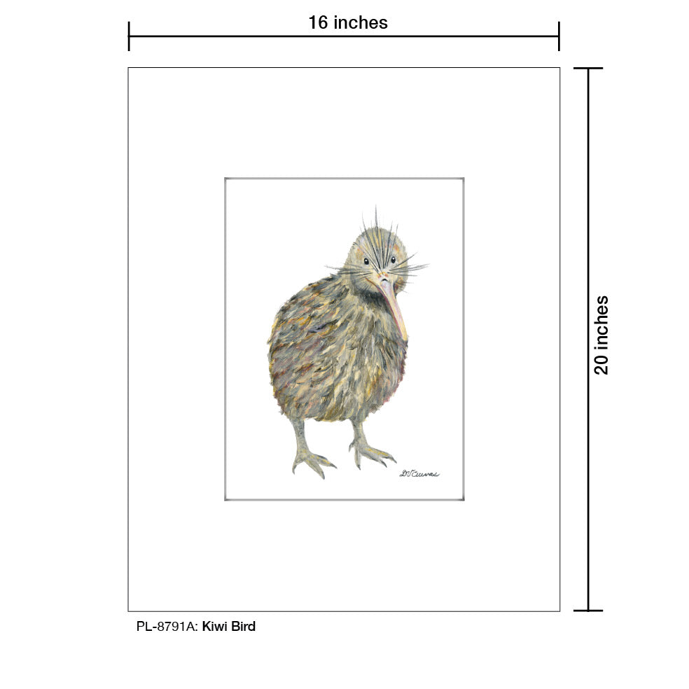 Kiwi Bird, Print (#8791A)