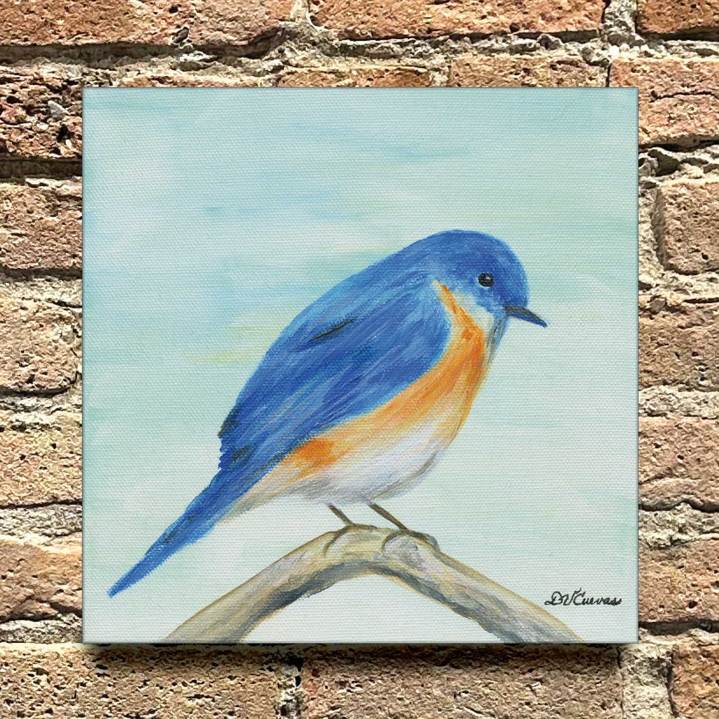 Blue Feathered, Original