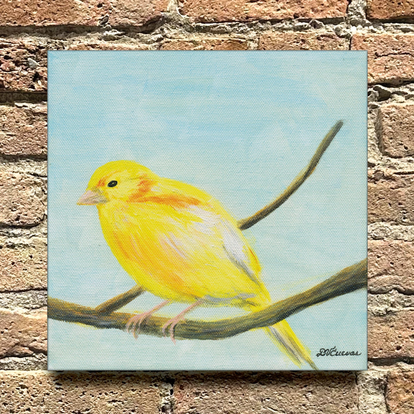 Canary, Original