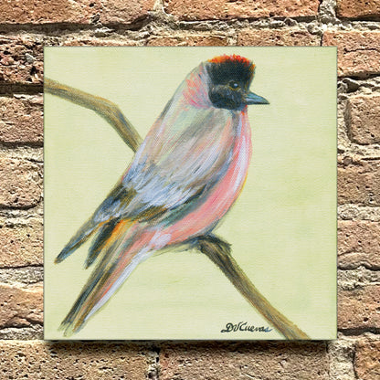 Finchbill, Original