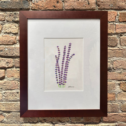 Fresh Lavender, Original