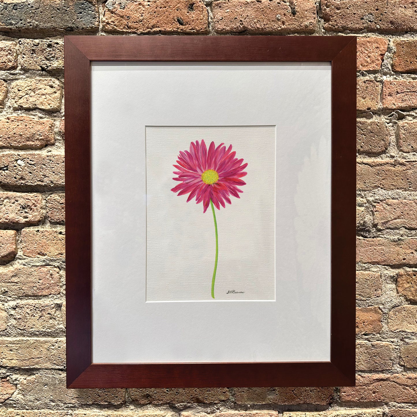 Pink Daisy, Original