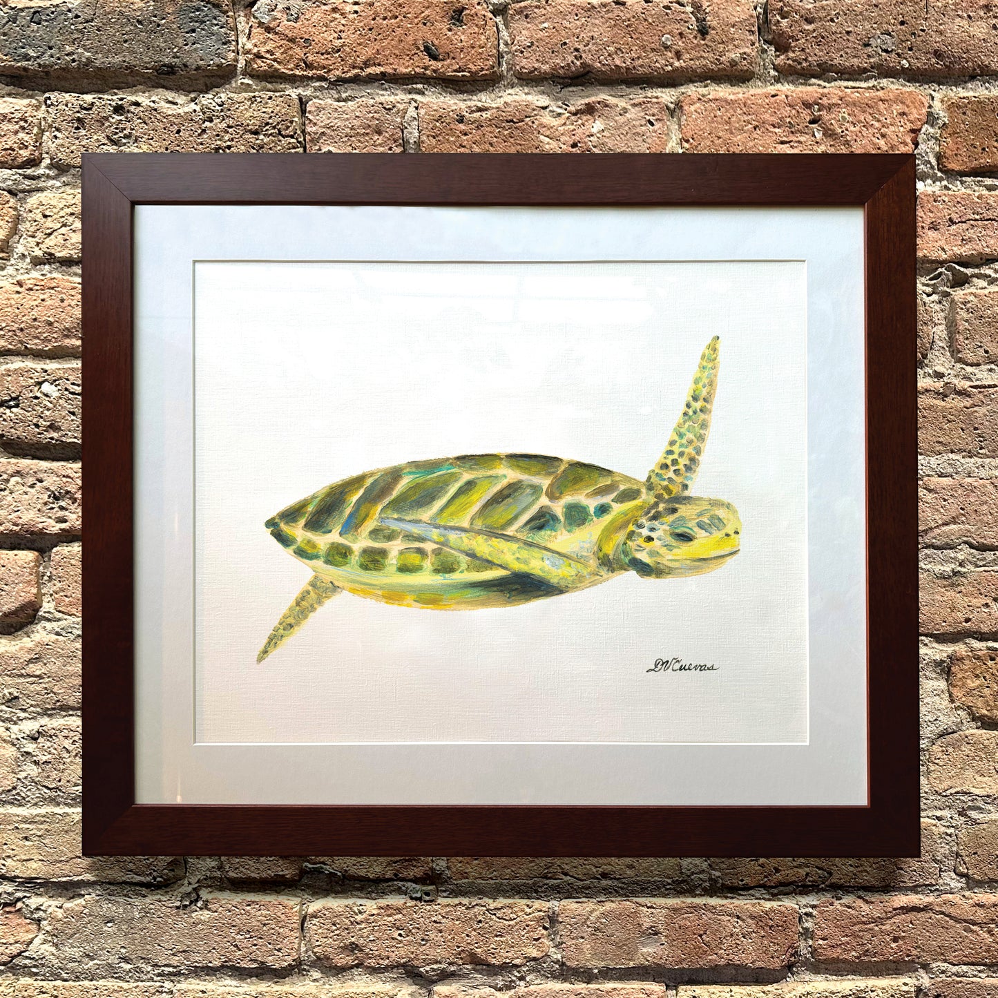 Sea Turtle, Original