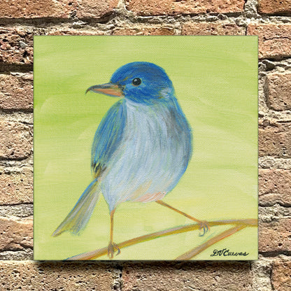 Slaty Flowerpiercer, Original