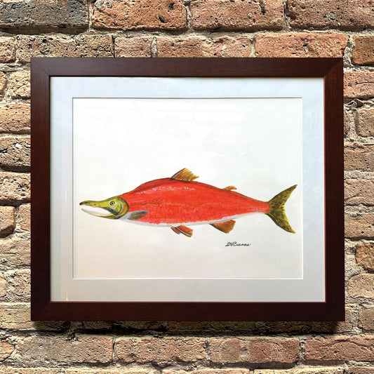 Sockeye Salmon, Original