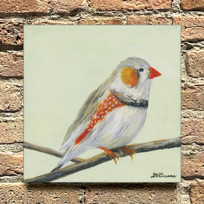 Songbird Finch, Original