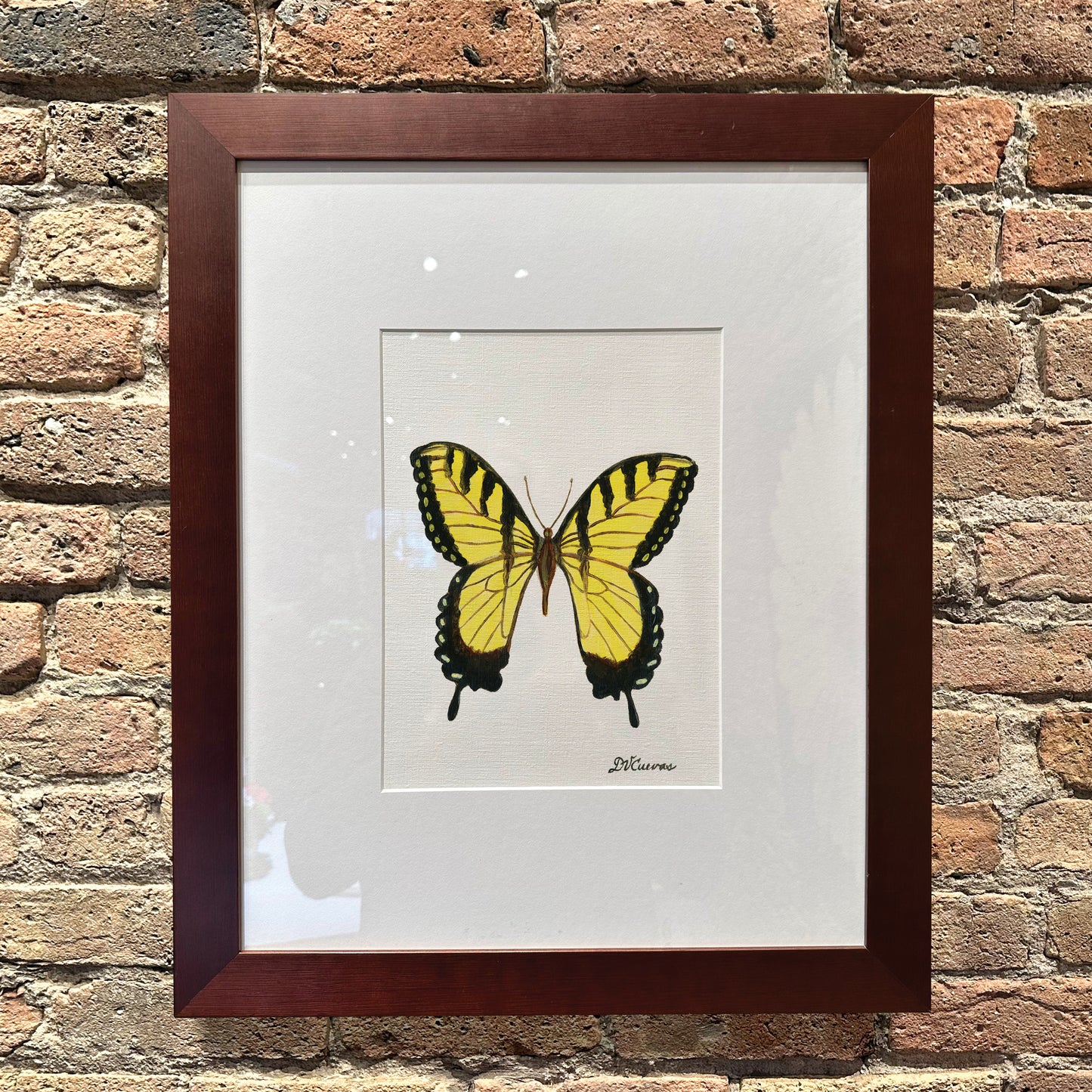 Tiger Swallowtail, Original