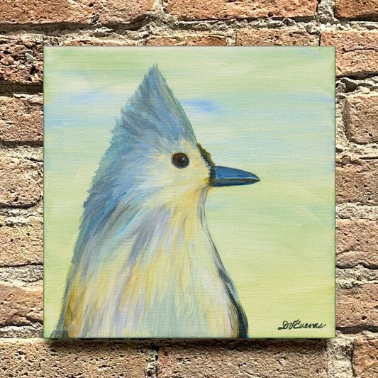 Tufted Titmouse, Original