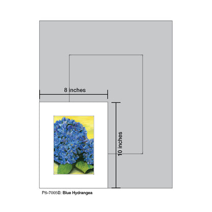 Blue Hydrangea, Print (#7005B)