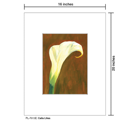 Calla Lilies, Print (#7013E)