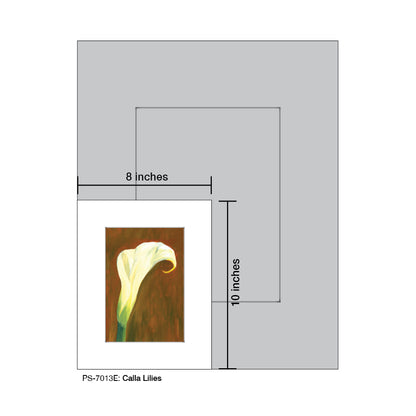 Calla Lilies, Print (#7013E)