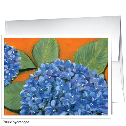 Hydrangea, Greeting Card (7036)