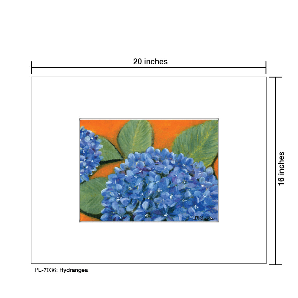 Hydrangea, Print (#7036)