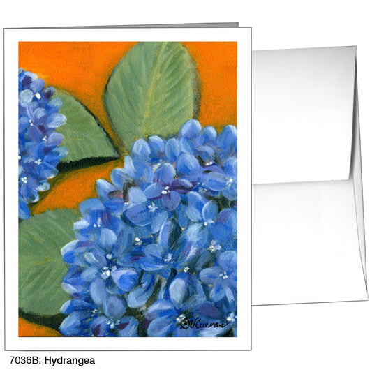 Hydrangea, Greeting Card (7036B)